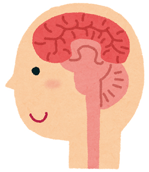 頭のイメージ